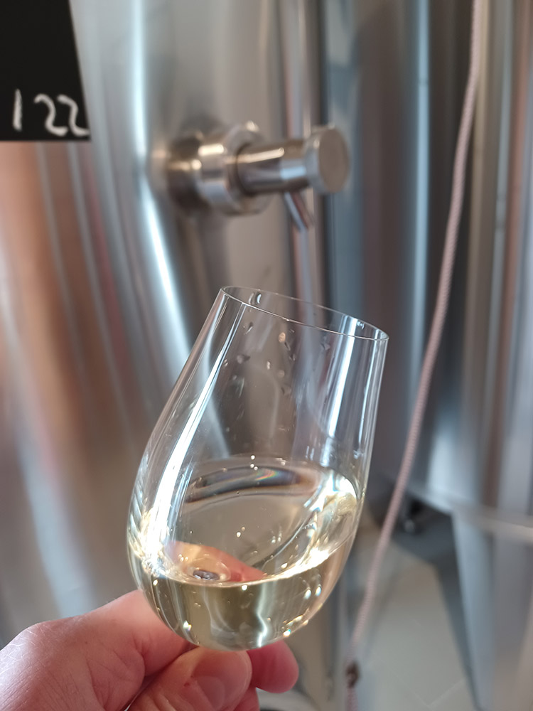 Flûte de champagne du Champagne Laforge Testa