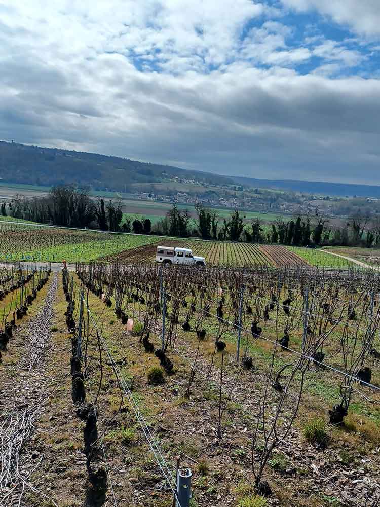 Photo du village et des vignes Champagne Laforge Testa