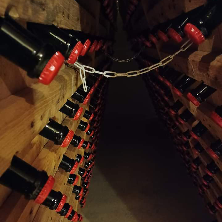 Bouteilles de Champagne en sommeille sur des lies en bois